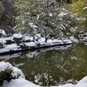 春ノ匠の画像