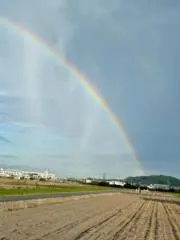 EEJの画像