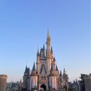 りんごの画像