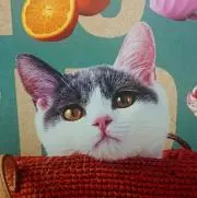 TSUKI☆プロフ必読の画像