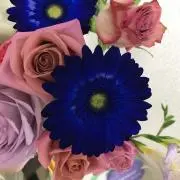 Mid