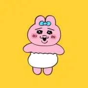Rの画像