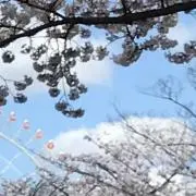 ゆっちぃ♡♡♡発送まで最大7日の画像