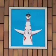 ナツの画像