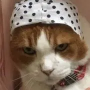 ヨウコ