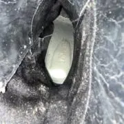 ビブリ