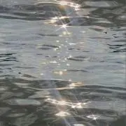 ♡の画像