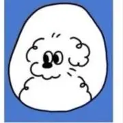 Yuの画像