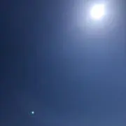ゆらの画像