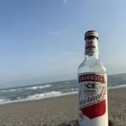 ぺの画像