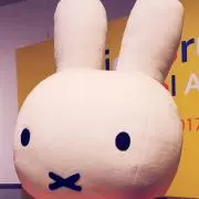 mimimi