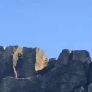 竹内の画像
