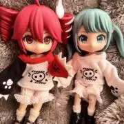 メイちゃんの画像