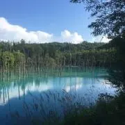 nicoの画像