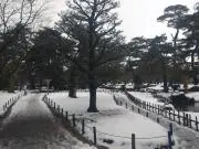 アキの画像