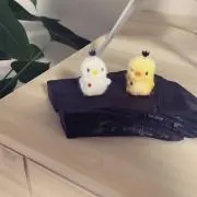 syukaの画像
