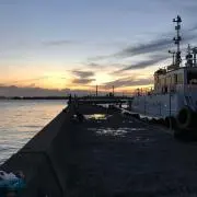 134Rの画像