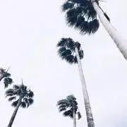 Harry☀︎の画像
