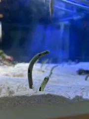 快浬の画像
