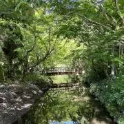 Momoの画像
