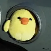 macoの画像