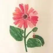 picoの画像