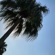 あああの画像