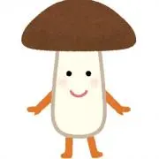 きのこの画像