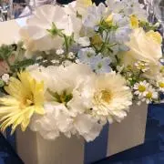★の画像