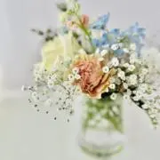 茉莉花ꕤ︎︎·͜·の画像