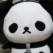 どんくん