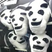 まみの画像