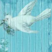 白鳩
