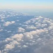 Leeの画像