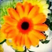 sun☆の画像