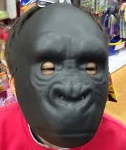 よっこー