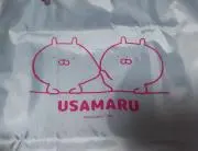 shiroの画像