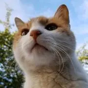 えっちゃん