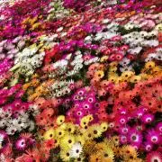 10＊9＊◯の画像