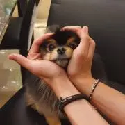 じゅの画像