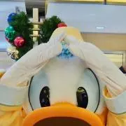ちゃーはんの画像
