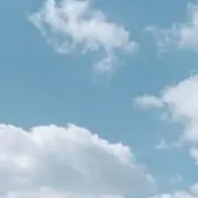 DAN