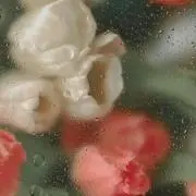 しぃの画像