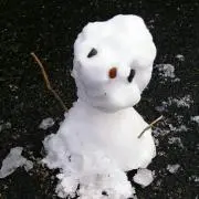 てんてんの画像