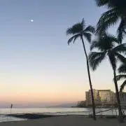 あやぴの画像
