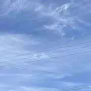 ダンダンの画像