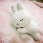 ミキティの画像