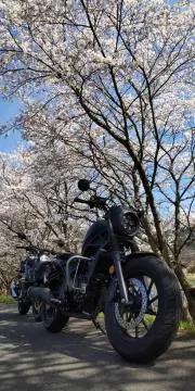 じゅんべえの画像