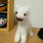 あぐぞう