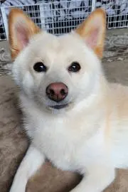 m mの画像